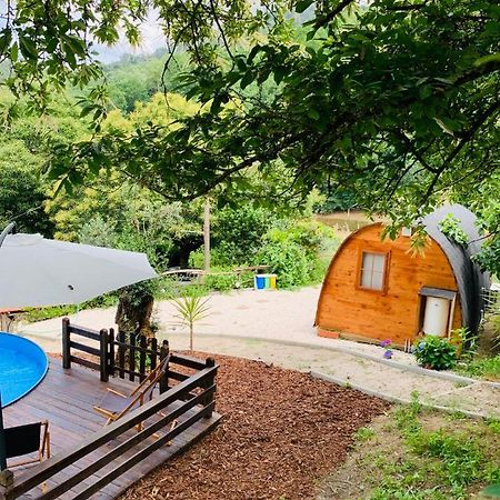 Gallas Pod House Vouzela Kültér fotó