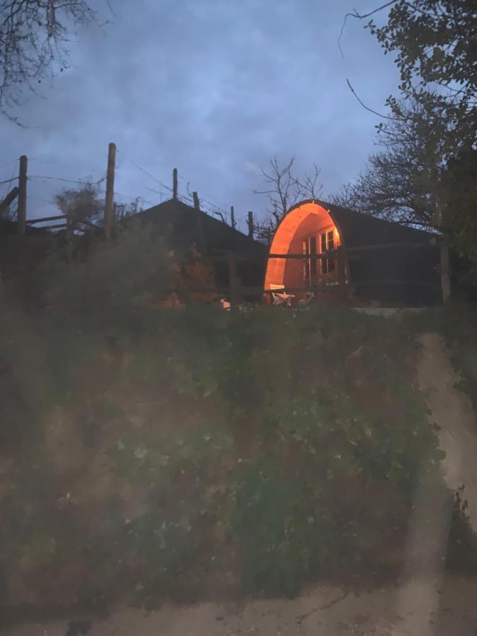 Gallas Pod House Vouzela Kültér fotó