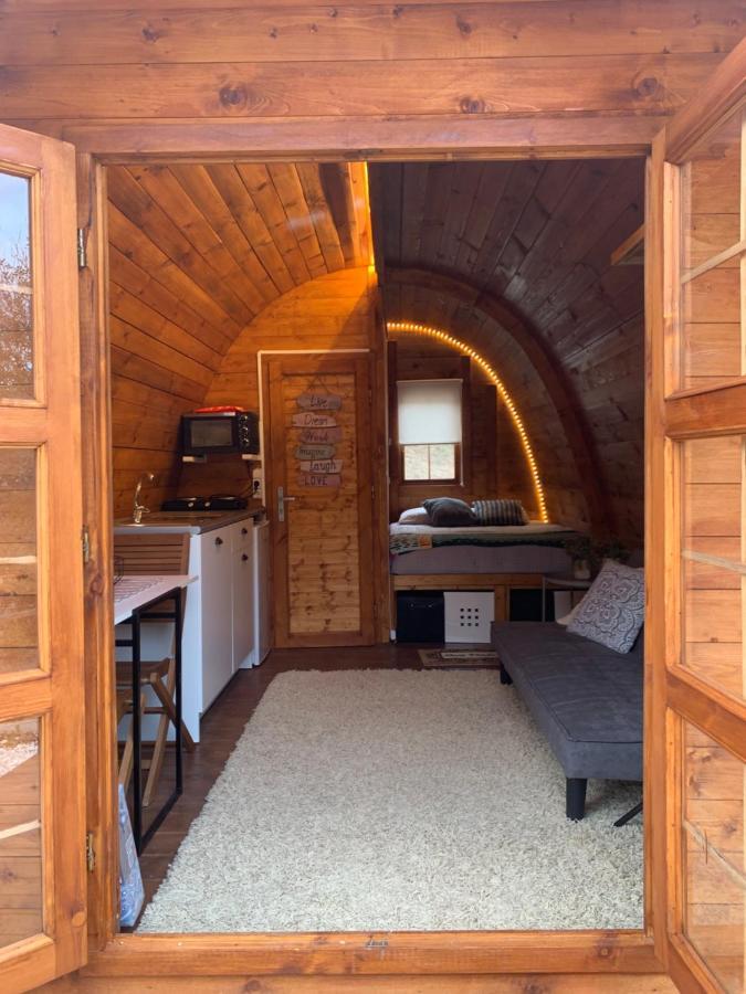 Gallas Pod House Vouzela Kültér fotó